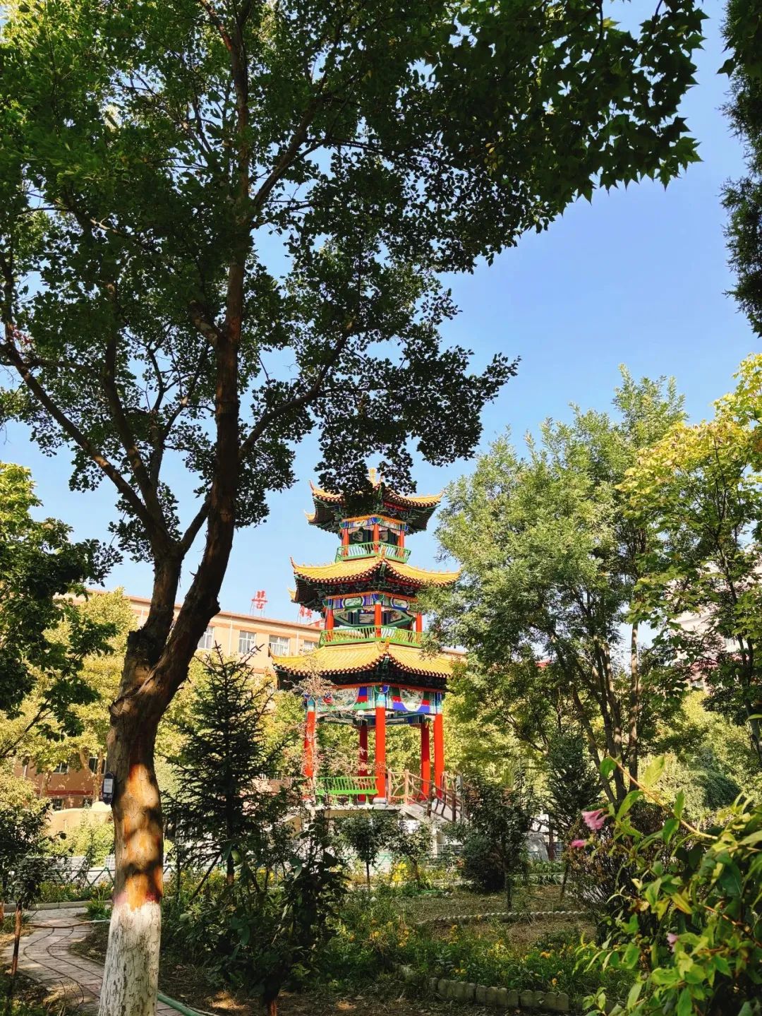 保理之秋，邂逅美好！