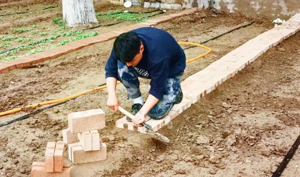保定理工學(xué)院||管理學(xué)院||以勞育人樹新風(fēng) 筑夢青春共成長