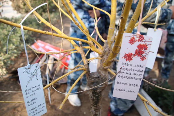 植樹節(jié)|管理學(xué)院|手植一抹綠，心栽一片林