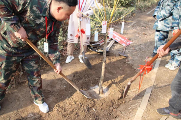 植樹節(jié)|管理學(xué)院|手植一抹綠，心栽一片林