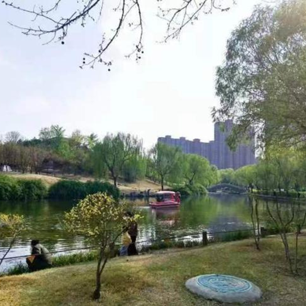 春日旅行攻略|管理學(xué)院|看這里，一起暢行保定