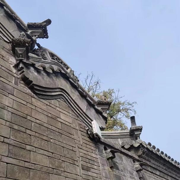 春日旅行攻略|管理學(xué)院|看這里，一起暢行保定