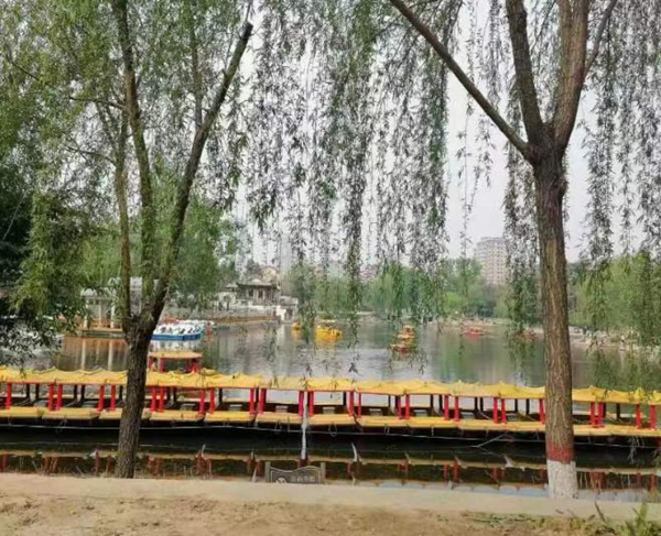 春日旅行攻略|管理學(xué)院|看這里，一起暢行保定
