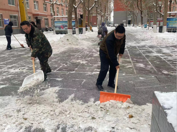 保定理工學院||管理學院||黨員先鋒在行動 清雪除冰傳溫情