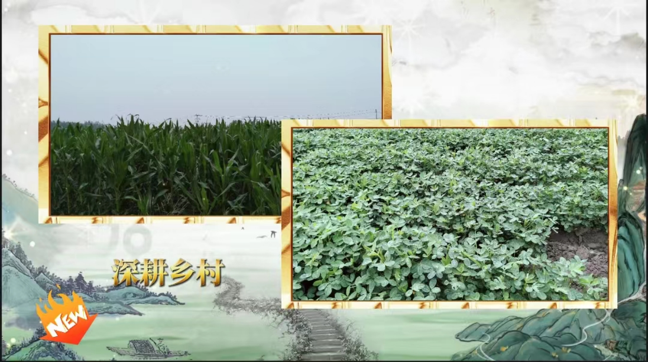 社會實踐(八)|助力鄉(xiāng)村振興,綻放青春風(fēng)采——保定理工學(xué)院教育學(xué)院暑期“三下鄉(xiāng)”實踐活動
