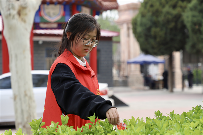 清明緬懷先烈志 青春共筑家國夢 ——保定理工學(xué)院開展主題祭掃活動