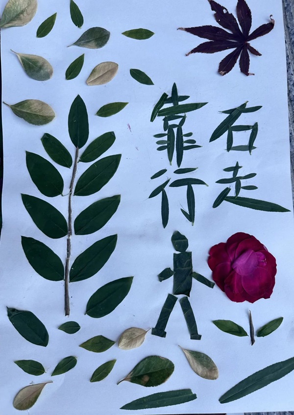 體驗(yàn)式教育|保定理工學(xué)院|管理學(xué)院|創(chuàng)意勞動(dòng)課助力無(wú)煙校園與文明出行建設(shè)